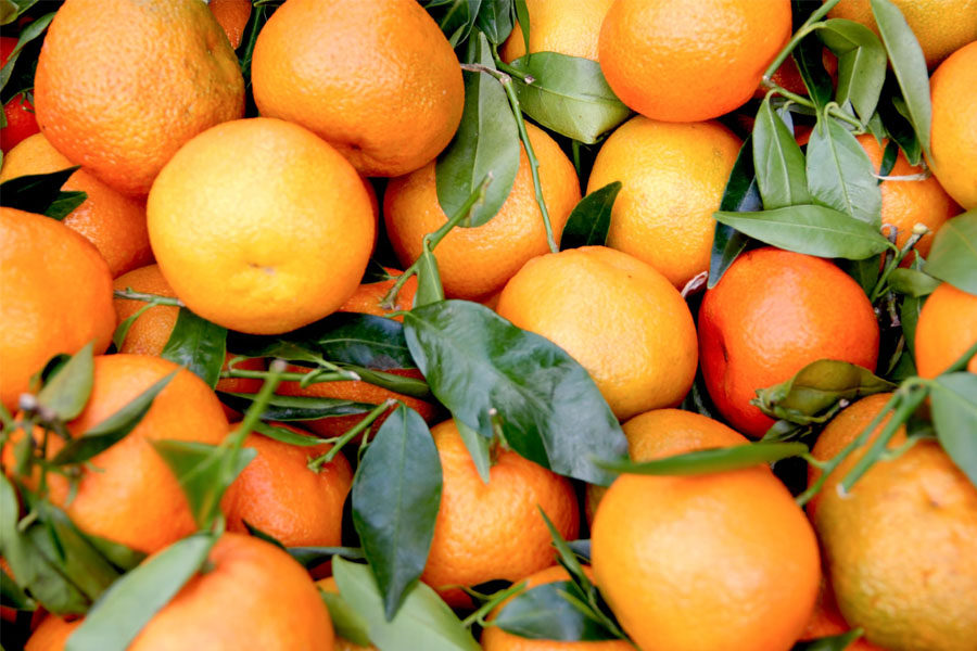 Image of a bunch of mandarins depicting the benefits of mandarin essential oil