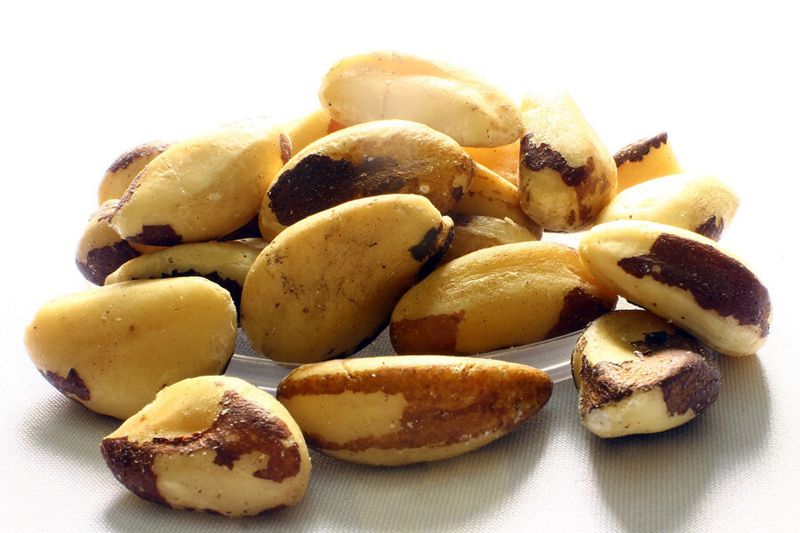 Image of few Brazil nuts depicting their benefits